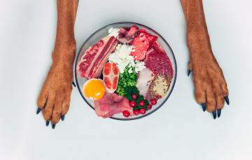 Dieta BARF para perros y gatos, natural y ¿saludable? Dieta BARF para perros y gatos