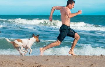 Cinofobia: miedo irracional a los perros Fobia a los perros