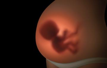 Pérdida de bienestar fetal, cómo detectarlo Sufrimiento fetal: causas, riesgos y cómo detectarlo