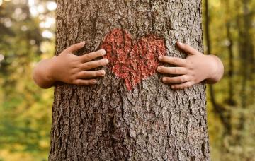 Trastorno por déficit de naturaleza