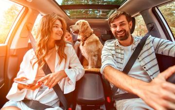 Cómo evitar que tu perro se maree en el coche Familia viajando en el coche con su perro