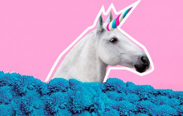 Cómo ser más carismático: 10 pautas para ganar carisma Cómo ser tan carismático como un unicornio