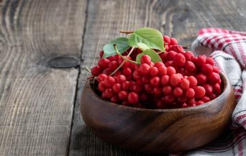 Bol con bayas de schisandra