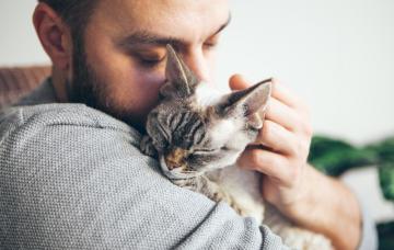 En ronroneo de los gatos calma el estrés y la tristeza Hombre triste acaricia a un gato que ronronea