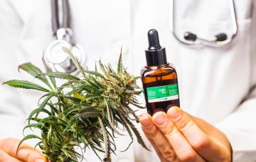 Usos del cannabis medicinal en la diabetes Doctor sostiene unas hojas de marihuana y un bote de CBD