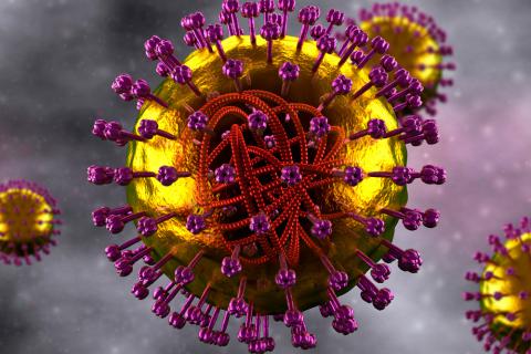 Resultado de imagen de virus sarampion