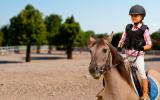 Consejos básicos para aprender a montar a caballo