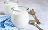 Yogurt lácteo adecuado para los adultos mayores