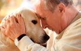 Perro con Alzhéimer canino y su dueño