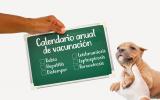 Calendario de vacunación en el cachorro y el perro adulto