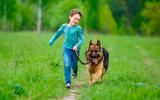 Niño corriendo con su perro por el campo