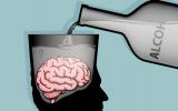 Concepto de alcohol y cerebro