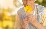Mujer anciana intentado olfatear una flor