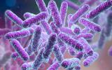 Bacterias intestinales que contribuyen a los síntomas del autismo