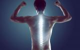 Persona realizando ejercicios para fortalecer su espalda