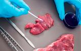 Análisis químico de un trozo carne en un laboratório