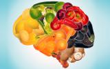 Dieta vegana y falta de nutrientes para el cerebro