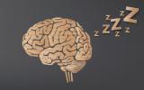 Conexiones células de la mente y cuerpo durante el sueño