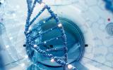 Estudio del genoma da pistas sobre la detención del cáncer precoz