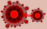 Coronavirus habría mutado genéticamente a dos variantes