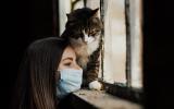 Las personas puedes transmitir el coronavirus a gatos