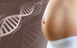 Consulta genética en el embarazo