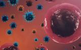 Los genes pueden hacer a algunas personas más vulnerables al coronavirus