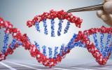 El CSIC empleará CRISPR para destruir el genoma del COVID-19