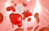 Un nanofármaco para la leucemia mieloide 