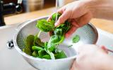 Medidas higiénicas al cocinar: lavar las verduras