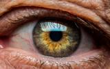 El tamaño de la pupila puede indicar la gravedad de la insuficiencia cardíaca