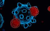lustración 3d de células del sistema inmunitario T que atacan al covid-19