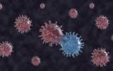 Variación genética del coronavirus