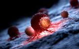 Ilustración de glóbulos blancos atacando una célula cancerosa