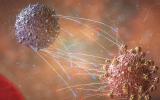 Células T combaten variantes del COVID