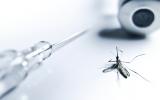 Una vacuna ARNm protege de la malaria