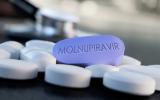 Pastilla molnupiravir reduce 50% riesgo de COVID-19