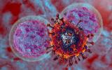 Respuesta inmune frente al coronavirus