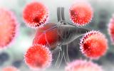 Enfermedades vasculares hepáticas aumenta el riesgo de COVID-19