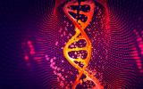 Descifran los secretos del genoma humano