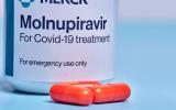Molnupiravir elimina el SARS-CoV-2 en 3 días