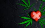 Marihuana aumenta el riesgo cardiaco