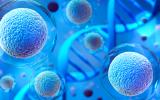 ADN basura propicia desarrollo de cáncer