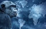 Viruela del mono emergencia internacional