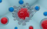 Células CAR T atacando una célula cancerigena