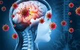 Día Mundial de la encefalitis: por qué se inflama el cerebro