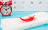Compresas y calendario: concepto primera menstruación
