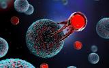 Célula T atacando una célula cancerosa