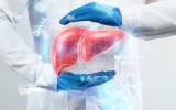 Médico observa el holograma de un hígado