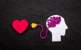 Dibujo de una cabeza con un cable que sale del cerebro con un enchufe dirigido a un corazón